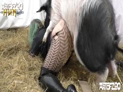 Pig porn with slut getting smashed in the pig cage